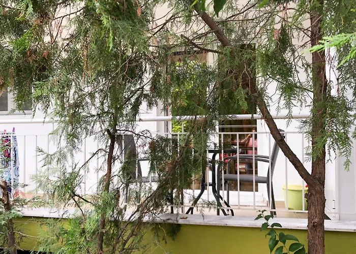 Apartamento Cozy Near The *